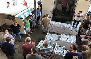 Vali Aktaş, balık mezatına katıldı
