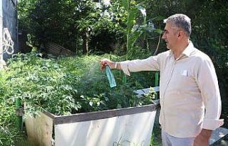 ‘Vampir Kelebek’ istilası yeniden başladı