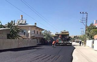 Van Büyükşehir Belediyesinden yol asfaltlama çalışması