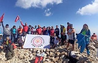 Van Büyükşehir Belediyesinin itfaiyecileri Ağrı...