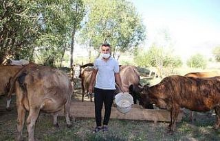 Varto’da genç çiftçi, kiraladığı ahır satılınca...