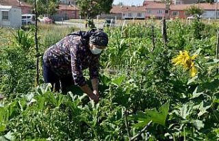 Vatandaşları toprakla buluşturan Esentepe Mahalle...