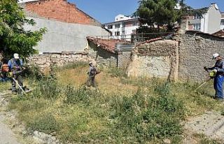Yabani ot temizliği sürüyor