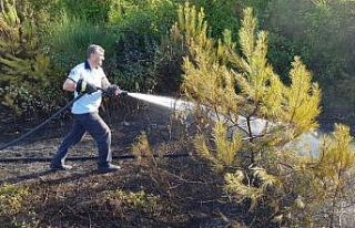 Yakakent Çam Gölü’nde yangın