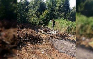 Yakılarak ormanlık alana dökülen fındık atıkları...