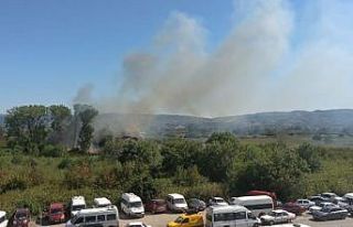 Yalova’da orman yangını