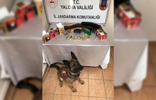 Yalova’da ruhsatsız silah ele geçirildi