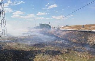 Yangın seferber etti