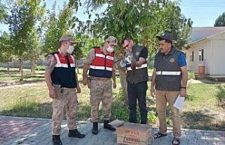 Yaralı doğana Mehmetçik şefkati