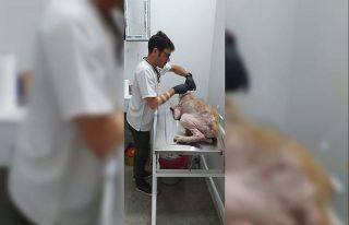 Yaralı halde bulunan köpeğe hayırsever vatandaşlar...