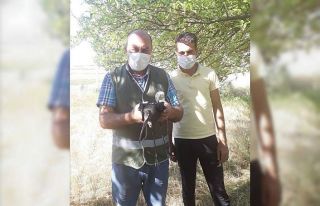 Yaralı kuşlar tedavi altına alındı