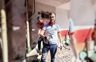 Yavru güvercinin imdadına itfaiye ekipleri yetişti