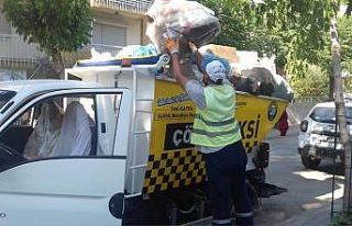 Yavru kedileri temizlik işçilerinin dikkati kurtardı