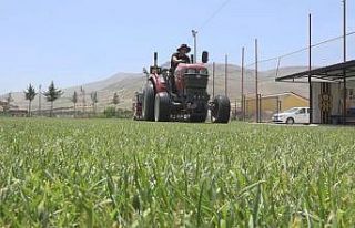 Yeni Malatya Stadyumunun zemini bakıma alındı
