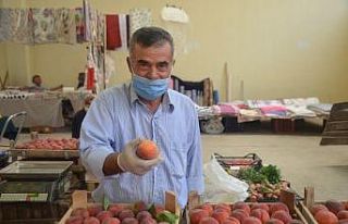 Yerli şeftalinin fiyatı her geçen gün düşüyor