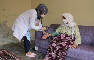 Yeşeren çınarlara destek sürüyor