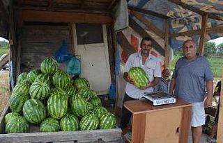 Yetiştirdiği organik karpuzları yol kenarında...