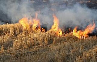 Yozgat’ta anız yakan 6 çiftçiye 4 bin 453 lira...