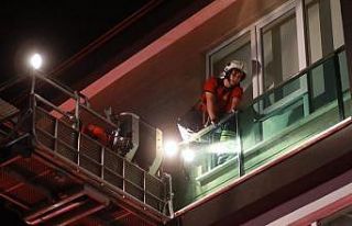 Yuvadan balkon boşluğuna düşen 50 yavru kırlangıç...