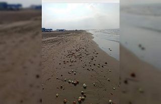 Yüzlerce kilo soğan Karataş sahiline vurdu