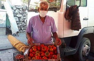 100 yıllık ata tohumu ile yerli domates üretiyor