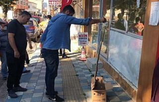 1,5 metre uzunluğundaki yılan görenleri hayrete...