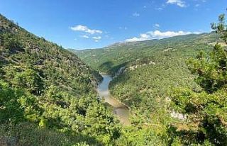 17 yaşındaki genci öldüren özçekim