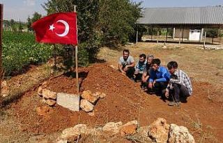17 yaşındaki Zeynep ailesini görmek istediği için...