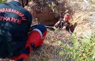 23 metrelik kuyuya düşen kediyi itfaiye kurtardı