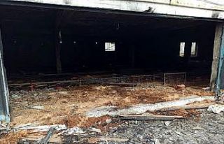30 bin civciv için hazırlık yapılan kümes alev...