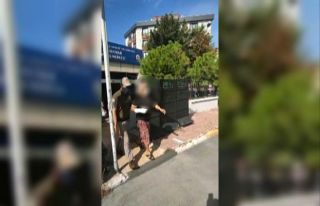 3 köpeği bıçaklayıp birini öldürdü, "Hatırlamıyorum"...