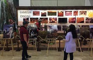 "6 Eylül Fotoğraf Sergisi’’ ziyaretçilerini...