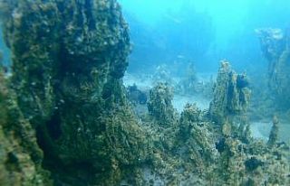 800 bin yıllık geçmişe sahip Van Gölü’nün...