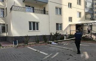 9. kattan düşen 83 yaşındaki kadın hayatını...