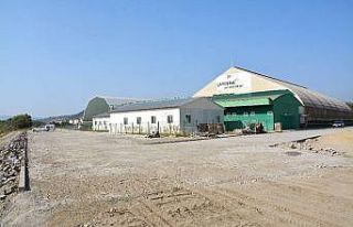 Ada Spor Merkezi’nde eğitimler başladı