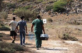 ’Adada kedi var’ ihbarı ekipleri seferber etti