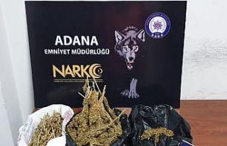 Adana’da 23 torbacı tutuklandı