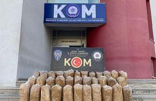 Adana’da kaçakçılık operasyonu