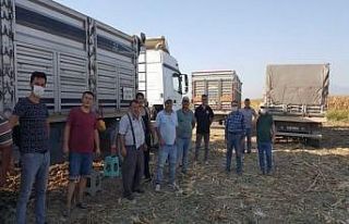 ADÜ Ziraat Fakültesi’nde hasat zamanı