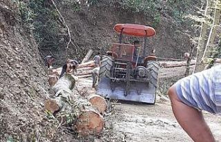 Ağacın altında kalan orman işçisi yaşamını...