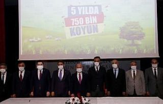 Ağrı’da çiftçilere 750 bin koyun dağıtılacak