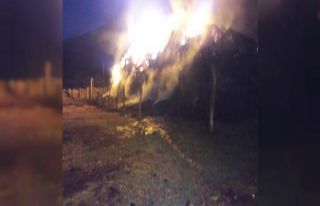 Ağrı’da meydana gelen yangında 50 ton saman kül...