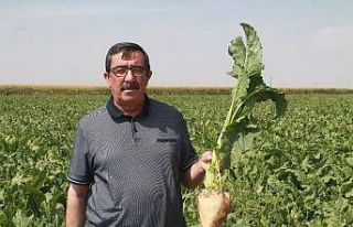 Ahmet Bestil: "Şeker fabrikaları yaşatılmalı"