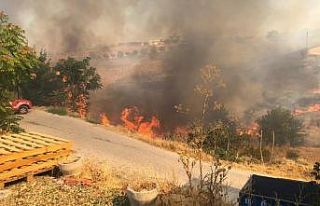 Akçadağ’da sigara izmariti yangın çıkardı