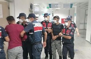 Aksaray’daki arazi cinayetinde 2 kardeş tutuklandı