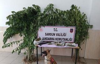 Alacam’da  uyuşturucu operasyonu