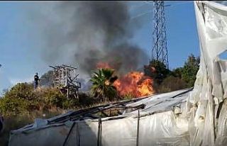 Alanya’da çalılık alanda yangın