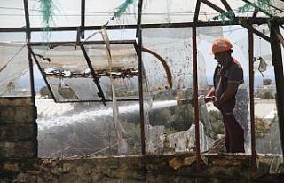 Alanya’da çalılık alanda yangın paniği