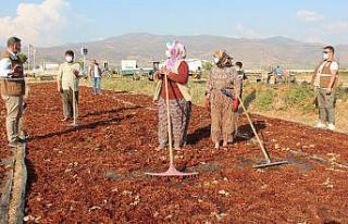 Alaşehir’de üreticilere fiyat uyarısı