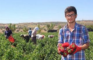 Alternatif olarak ekildi, yurdun dört bir yanına...
